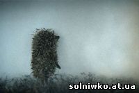 Ёжик в тумане - советский мультфильм